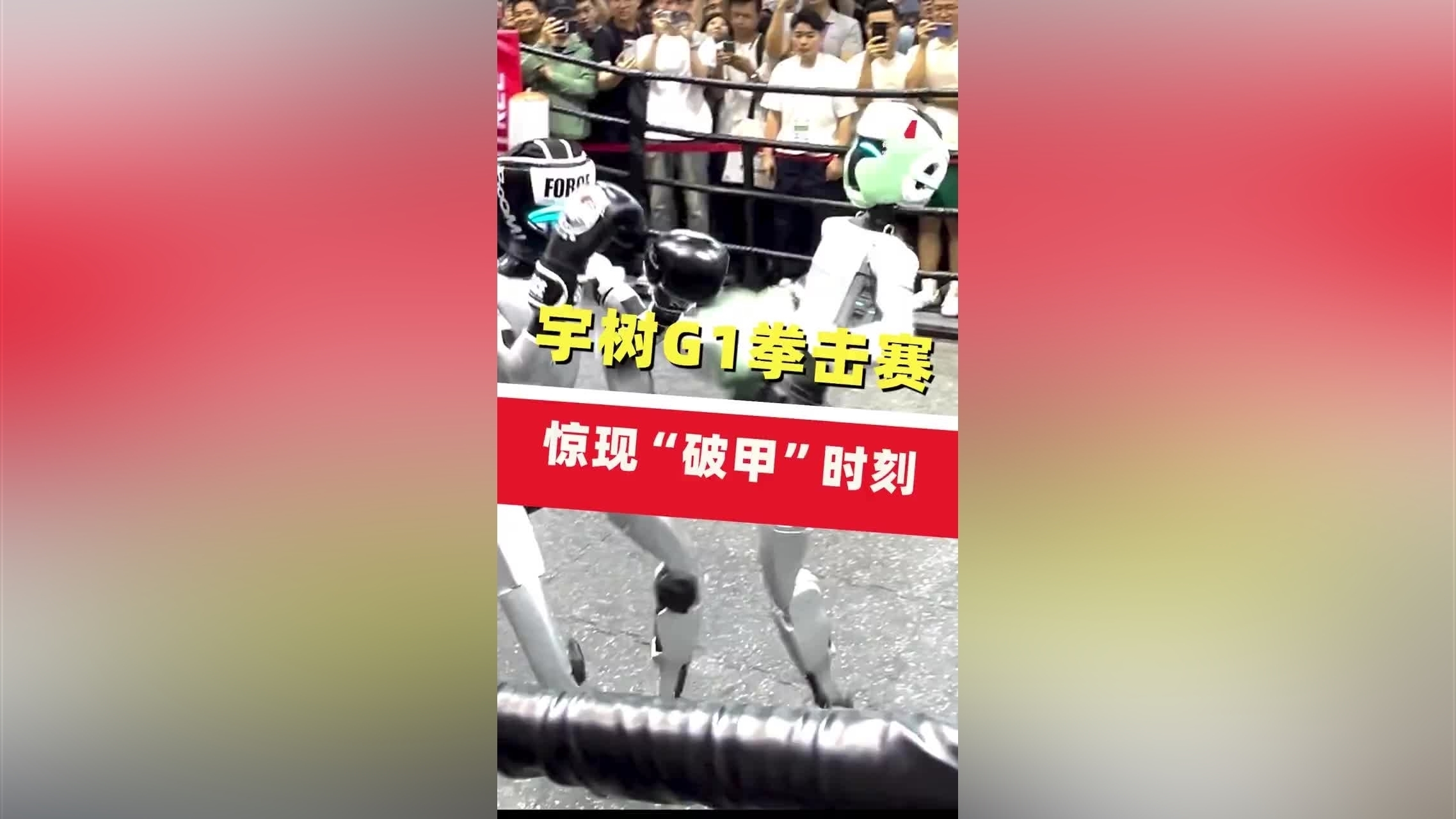 金年会中文官网-赛地聚焦——意甲窗口期热度飙升；广东宏远豪取连胜；媒体盛赞；更衣室氛围转暖的简单介绍